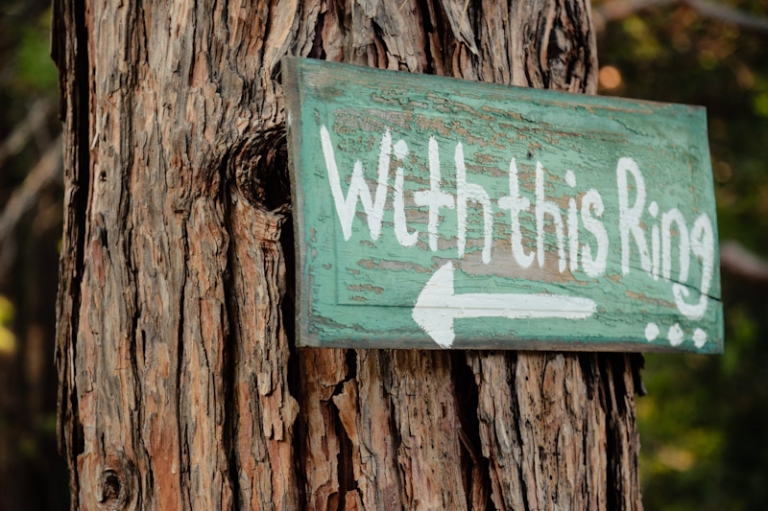 California-wedding-Photographer-wedding-in-the-woods-2(pp_w768_h511)