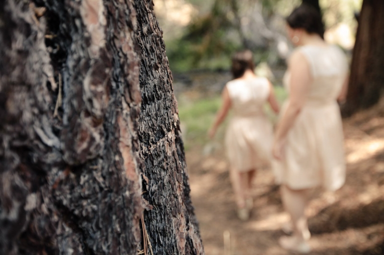 California-wedding-Photographer-wedding-in-the-woods-24(pp_w768_h511)