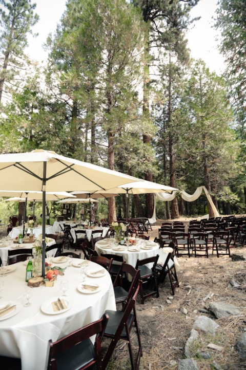 California-wedding-Photographer-wedding-in-the-woods-61(pp_w480_h720)