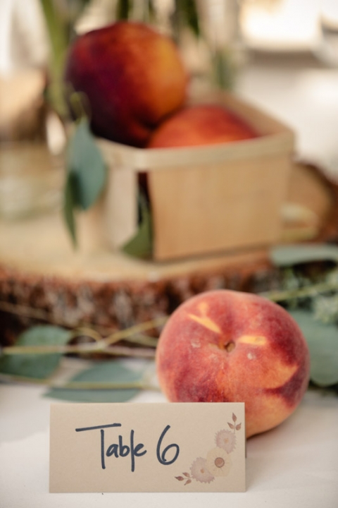 California-wedding-Photographer-wedding-in-the-woods-63(pp_w480_h720)