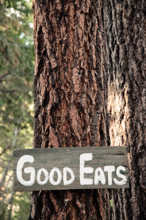 California-wedding-Photographer-wedding-in-the-woods-66(pp_w480_h720)