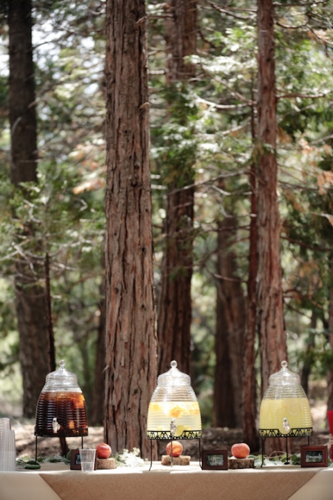 California-wedding-Photographer-wedding-in-the-woods-67(pp_w480_h720)