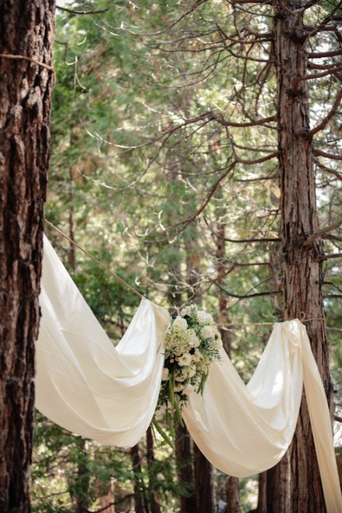 California-wedding-Photographer-wedding-in-the-woods-7(pp_w480_h720)