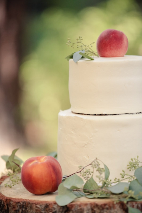 California-wedding-Photographer-wedding-in-the-woods-72(pp_w480_h720)