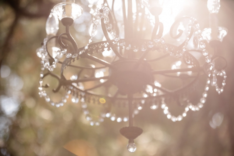 California-wedding-Photographer-wedding-in-the-woods-8(pp_w768_h511)