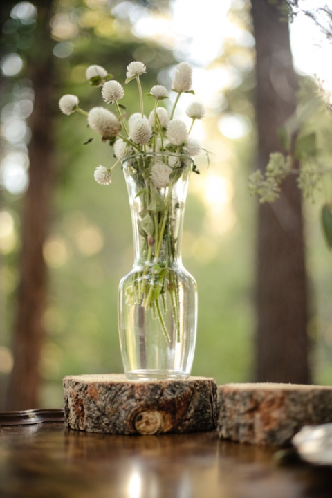 California-wedding-Photographer-wedding-in-the-woods-83(pp_w480_h720)