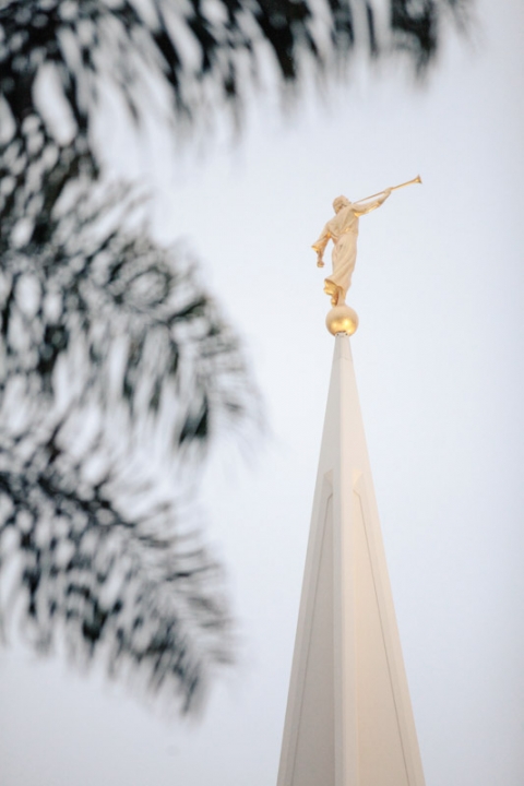Wedding-and-Portrait-Photographer-LDS-San-Diego-Temple-Wedding049IMG_3891-Blog(pp_w480_h720)
