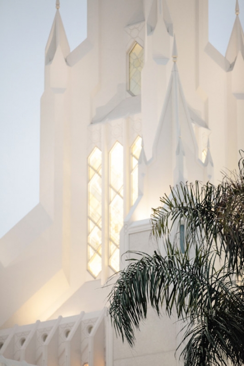 Wedding-and-Portrait-Photographer-LDS-San-Diego-Temple-Wedding051IMG_3877-Blog(pp_w480_h720)