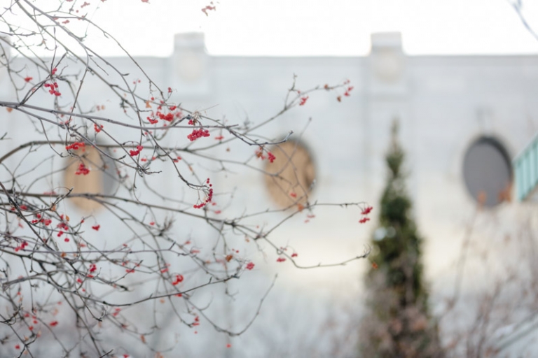 EK-Studios-Utah-Wedding-Photographers-Temple-Sealing-SLC-Winter-Wedding001-Blog(pp_w768_h512)