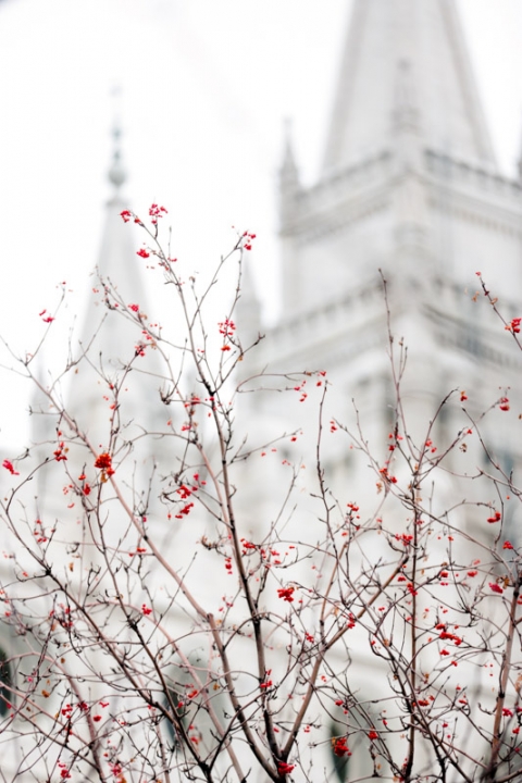EK-Studios-Utah-Wedding-Photographers-SLC-Temple-winter-wedding-Woods-on-the-ninth-Reception002-Blog(pp_w480_h720)