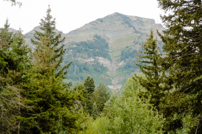 EK-Studios-Utah-Wedding-Photographers-Sundance-Wedding-Photographer-Summer001-Blog(pp_w768_h511)