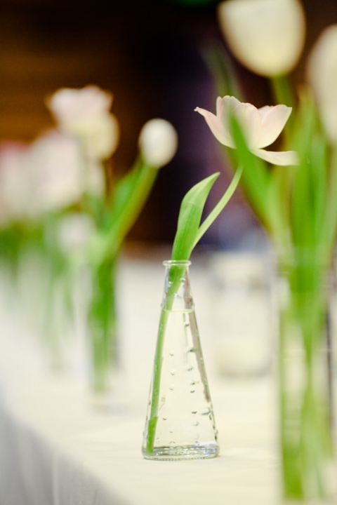 EK-Studios-Utah-Wedding-Photographers-Sundance-Wedding-Photographer-Summer056-Blog(pp_w480_h720)