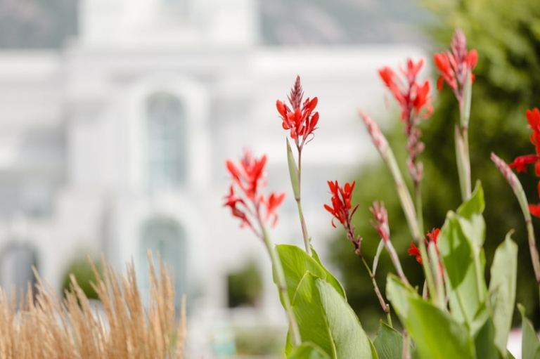 EK-Studios-Wedding-Photographer-Mount-Timpanogos-Temple004-Blog(pp_w768_h511)