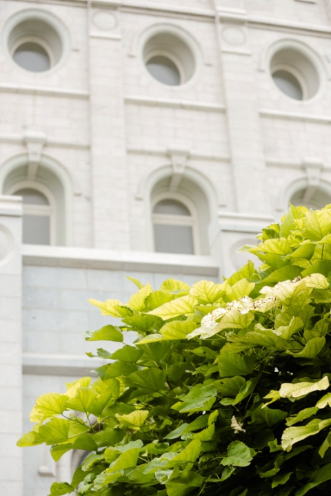 EK-Studios-Wedding-Photographer-SLC-Temple-Wedding-Grand-America-Reception002-Blog(pp_w480_h720)