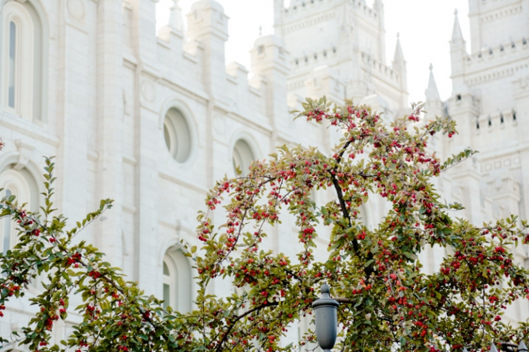 EK-Studios-Wedding-Photographer-SLC-Temple-Wedding-Red-Butte-Garden-Reception033-Blog(pp_w768_h511)
