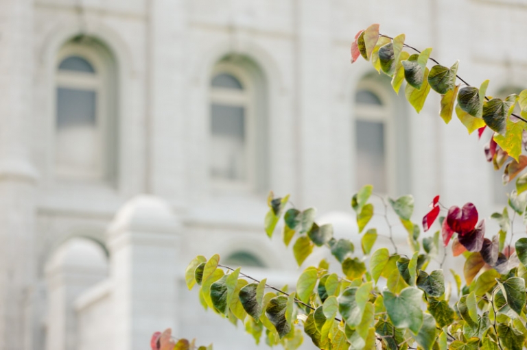 EK-Studios-Wedding-Photographer-Salt-Lake-Temple-wedding001-Blog(pp_w768_h511)