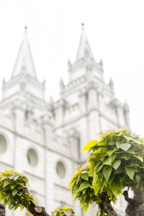 EK-Studios-Utah-Wedding-Photographers-SLC-temple-wedding001-Blog1(pp_w480_h720)