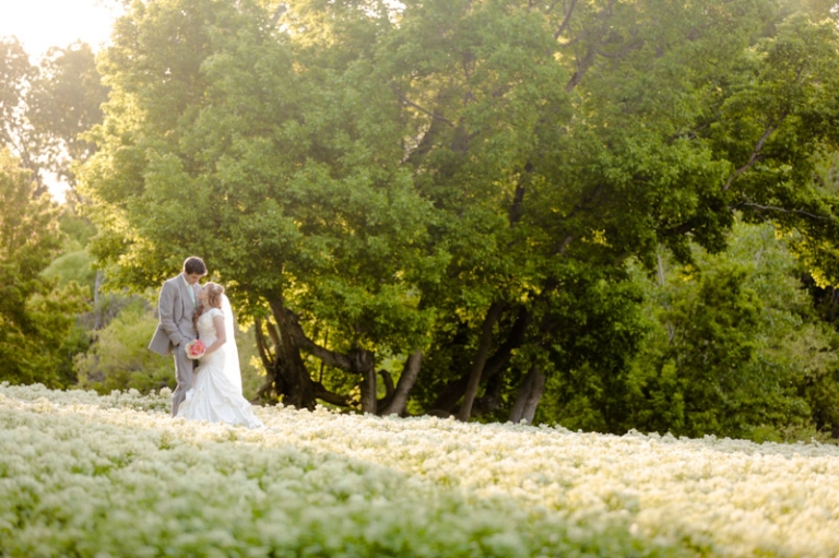 EK-Studios-Utah-Wedding-Photographers-Spring-bridals-in-wild-flowers022-Blog(pp_w768_h511)