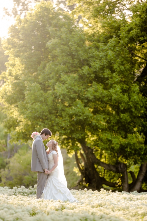 EK-Studios-Utah-Wedding-Photographers-Spring-bridals-in-wild-flowers029-Blog(pp_w480_h720)