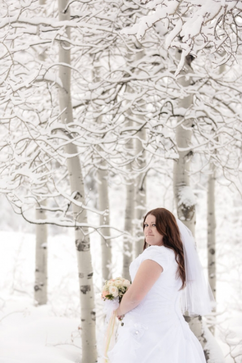 Wedding-and-Portrait-Photographer-Winter-Bridals-in-the-snow016EK1_4979-Blog(pp_w480_h720)