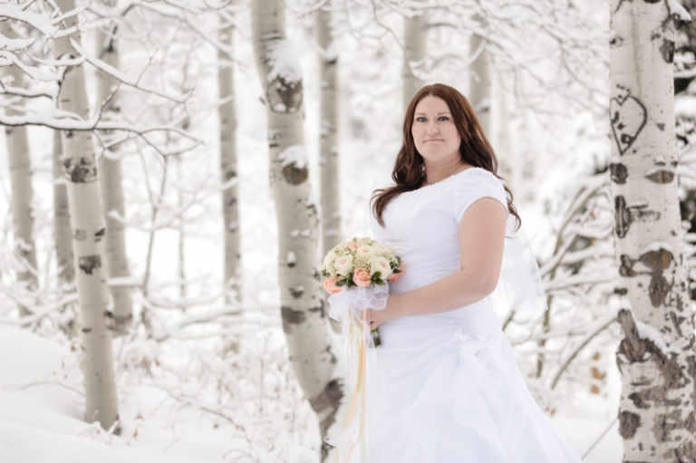 Wedding-and-Portrait-Photographer-Winter-Bridals-in-the-snow018EK1_5004-Blog(pp_w768_h511)