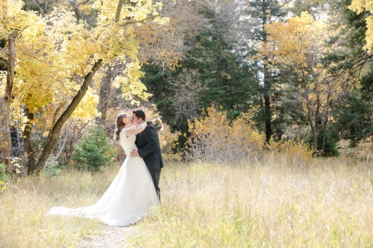 EK-Studios-Utah-Wedding-Photographers-Fall-Bridals-in-the-canyon003-Blog(pp_w768_h511)