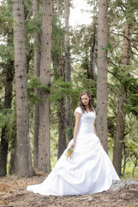 EK-Studios-Utah-Wedding-Photographers-Mountian-Bridals021-Blog(pp_w480_h720)