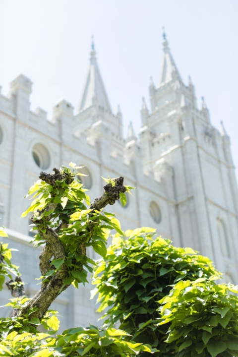 EK-Studios-Utah-Wedding-Photographers-SLC-Temple-wedding-back-yard-reception001-Blog(pp_w480_h720)