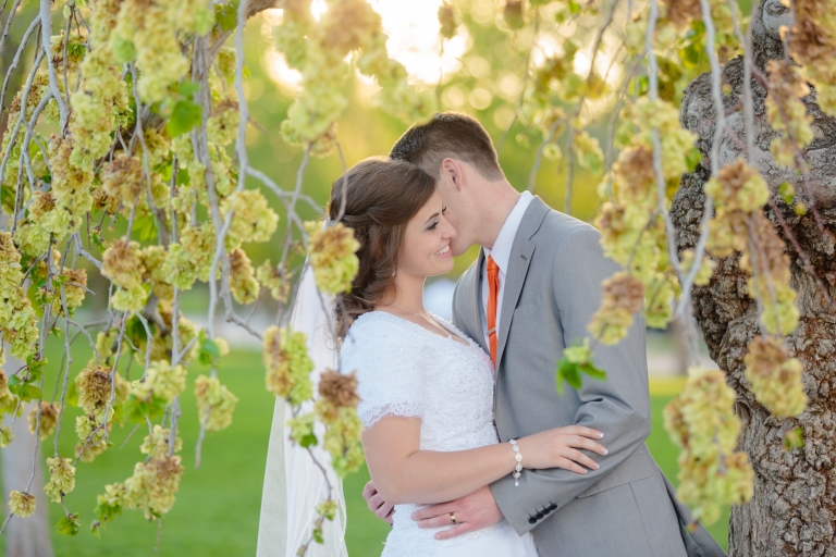 Timpanogos-temple-bridals-Utah-Wedding-Photographers-EK-Studios-Photo-Video-016(pp_w768_h512)
