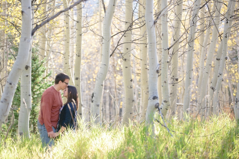 EK-Studios-Utah-Wedding-Photographers-Fall-Canyon-Engagements004-Blog(pp_w768_h512)