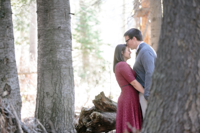 EK-Studios-Utah-Wedding-Photographers-Fall-Canyon-Engagements008-Blog(pp_w768_h512)
