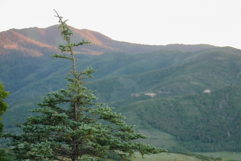 EK-Studios-Utah-Wedding-Photographers-Salt-Lake-Temple-Wedding-Reception-Park-City-Photography053-Blog(pp_w768_h512)