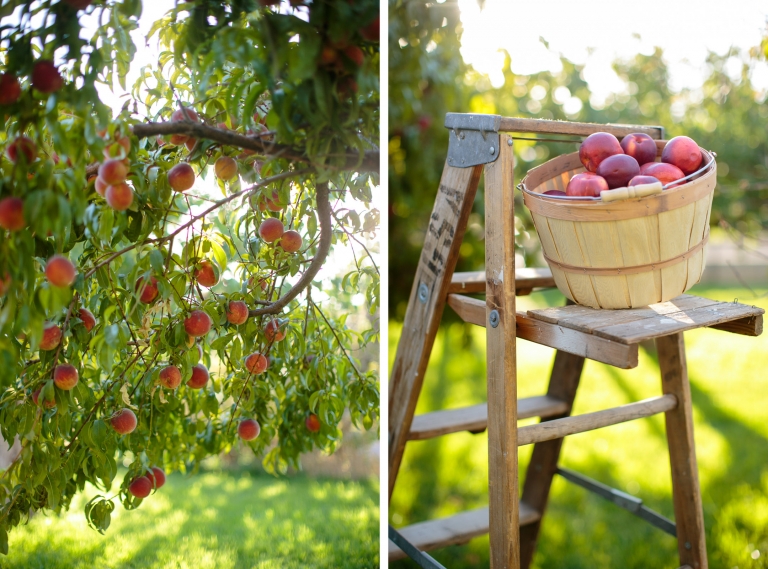 Stylist-Shoot-Utah-Bride-Groom-EK-Studios-Photo-Video-14(pp_w768_h569)