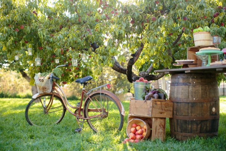 Stylist-Shoot-Utah-Bride-Groom-EK-Studios-Photo-Video-19(pp_w768_h512)