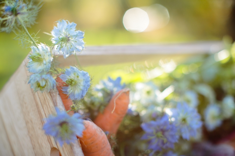 Stylist-Shoot-Utah-Bride-Groom-EK-Studios-Photo-Video-31(pp_w768_h512)