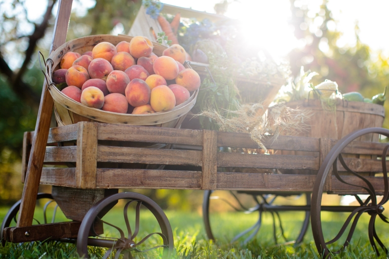 Stylist-Shoot-Utah-Bride-Groom-EK-Studios-Photo-Video-9(pp_w768_h512)