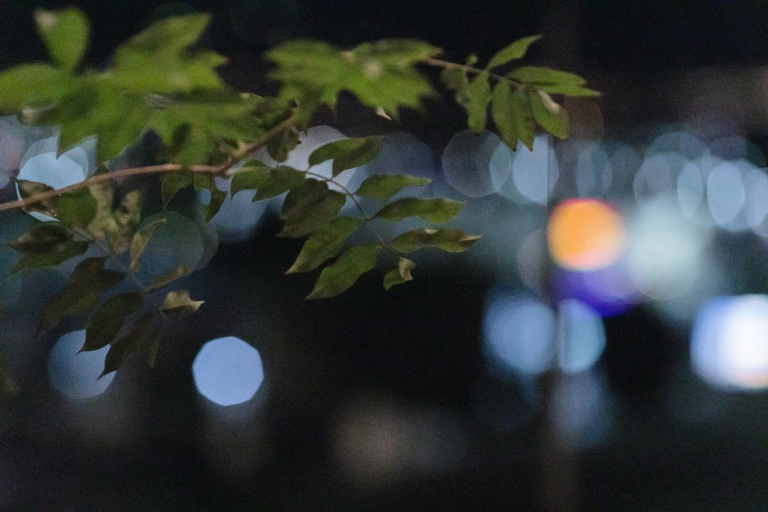 EK-Studios-Utah-Wedding-Photographers-Cactus-Tropicals-Wedding-Draper046-Blog(pp_w768_h512)