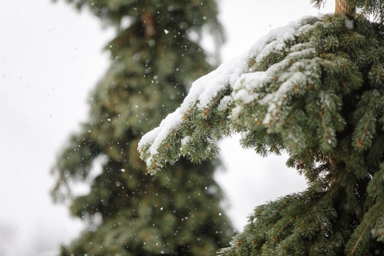 Snowy-Winter-Wedding-Draper-Temple-La-Jolla-Groves-Recpetion-Dinner-ProvoUtah-Wedding-Photographers-EK-Studios-Photo-Video003-Blog(pp_w768_h512)