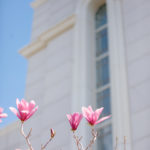 Blog-Bountiful-Temple-Spring-Wedding-Photography-1-150x150