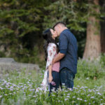 Blog-Engagements-wild-flowers-mountains-utah-photography-39-150x150