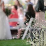Blog-Wadley-Farms-Wedding-photography-Kindra-Shiloh-70-150x150