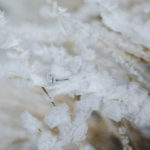 Winter-engagements-mountain-pines-utah-engagement-photographer-24-150x150