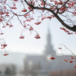 Bountiful-Temple-Wedding-Photographers-Utah-1-150x150