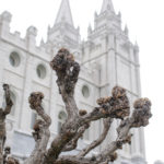 Salt-Lake-City-Temple-Wedding-Photography-Utah-2-150x150