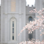 Spring-Blossoms-Salt-Lake-City-Temple-Wedding-Reception-Wadley-Farms-Castle-Utah-Photography-1-150x150