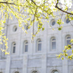 Spring-Blossoms-Salt-Lake-City-Temple-Wedding-Reception-Wadley-Farms-Castle-Utah-Photography-4-150x150