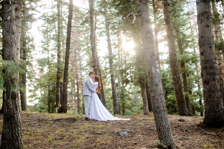 Bridals-in-the-woods-Pines-utah-photographer-2(pp_w768_h512)