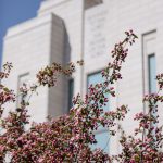 Blog-Oquirrh-Mountain-Temple-Wedding-Reception-Le-Jardin-Photography-3-150x150