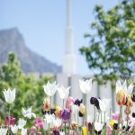 Blog-Provo-Temple-Wedding-Spring-2-150x150