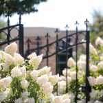 Blog-Provo-City-Center-Temple-Wedding-Photography-Utah-4-150x150